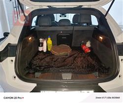 دودج هورنيت